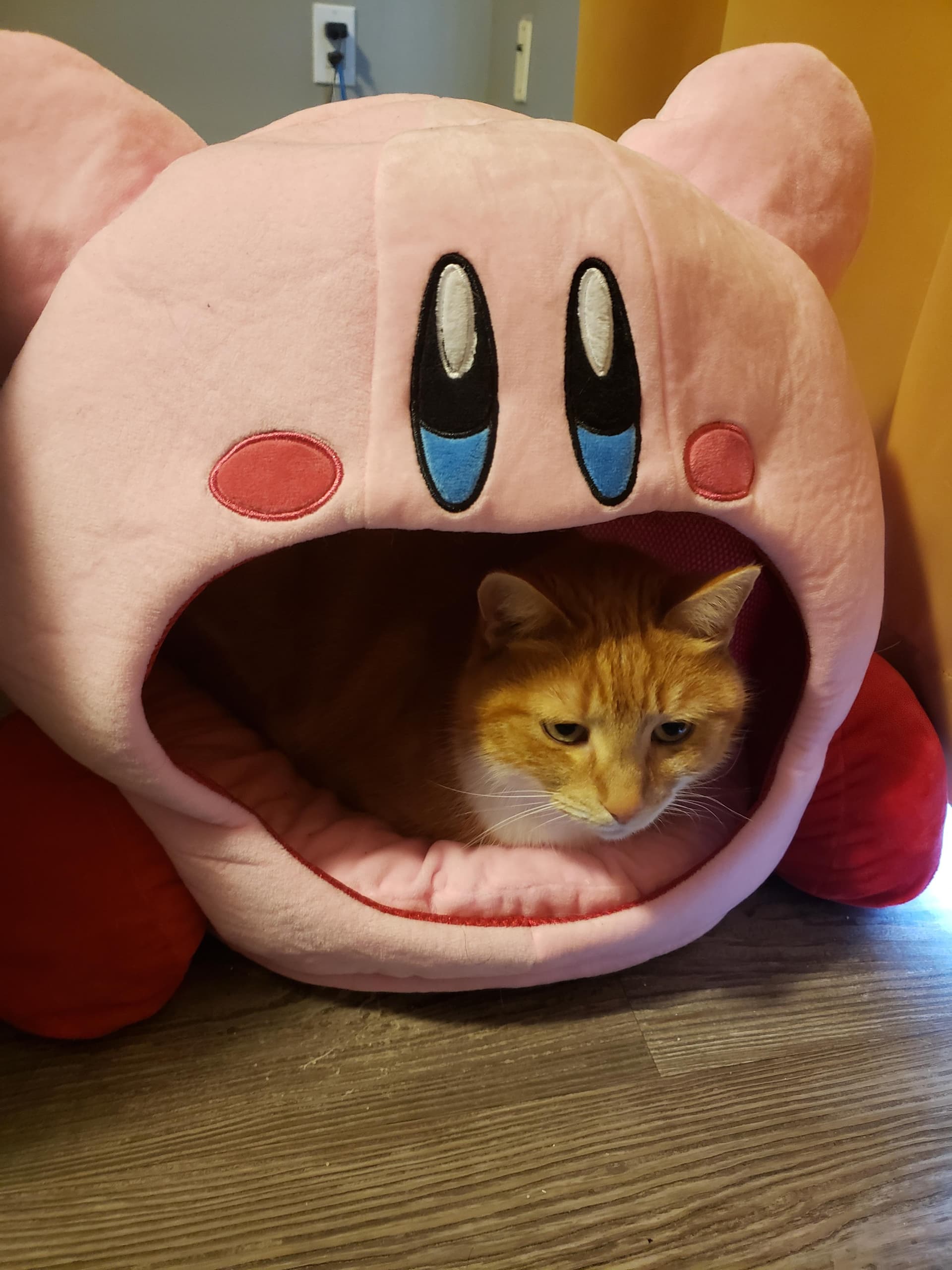 Kirby wins